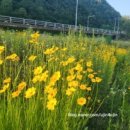 메밀뜰경로당 이미지