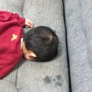 유앤미스냅 네이버블로그