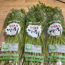 육동시장 아이뉴스24