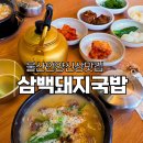 울산돼지국밥 언양점 | 울산 언양 신상 맛집 삼백 돼지국밥 막걸리 점심 밥집