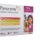 한국엘랑코동물약품(주) 이미지