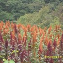 북암농장 이미지