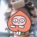 살롱드 끌레르 | [신현동 미용실] 살롱 드 끌레르, 중단발 펌 후기