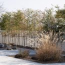 스테이 매료 이미지