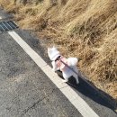 북한산셀프세차타운 이미지