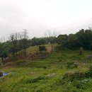 조말생 신도비 이미지