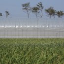 이화산등산로 이미지