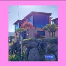 티티부동산공인중개사사무소 이미지