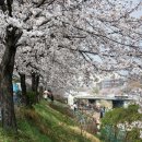 불광천5 이미지