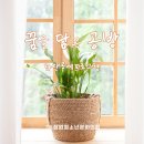 라탄강좌 이미지