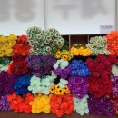 보훈매점 이미지