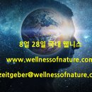 주식회사 웰메디 | 2024년 8월 28일 국내 웰니스 뉴스