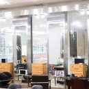 더 미쁘다 이미지