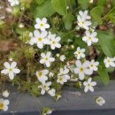 어정초등학교 이미지