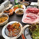 오토 오아시스 이미지