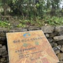 수월보건진료소 | 천안카페추천 | 고즈넉한 한옥 감성의 풍세커피, 가족이랑, 아기랑, 애견동반으로 가기 딱 좋은 카페...