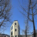 삼가-30 | [카페586] 용인 삼가역 카페, 두바이 쫀득볼, 두바이 쫀득 쿠키 맛집, 두쫀쿠, 내돈내산 후기