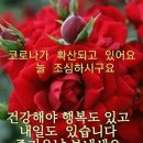 보라떡방
