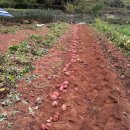 관우농장 이미지