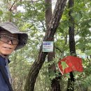 충북 충주시(E02) HL/CB-230 (을궁산 (Eulgungsan)) SOTA 운용 이미지