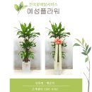 예성인테리어 이미지