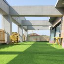 와이즈독 아카데미 이미지