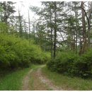 청송자연휴양림 이미지