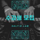 솔트디