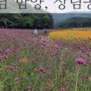 디마네 커피로스터스 이미지