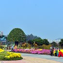 국화어린이공원 이미지