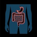 춘천한방한의원 | 춘천소화불량한의원, 체기, 속쓰림, 트림, 한방치료 병원 정보