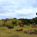 도천재 단서죽백 이미지