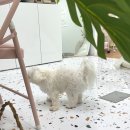 수원-0603 이미지