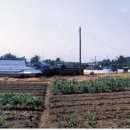 상조 마을회관 이미지