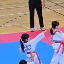 수문태권도 이미지