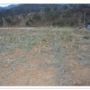 언덕위에하얀집 이미지