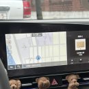 바디페이스 이미지