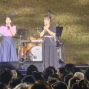 2024 봉황대뮤직스퀘어 이미지