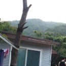 철이민박 - 여수시 사도길 37-5 | 철이민박