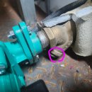 일성수영장 이미지