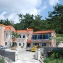 짝꿍숲어린이집 이미지