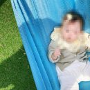 서울 근교 글램핑 워크안산BBQ 카페 내돈내산 후기! 추천or비추천?