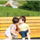수민목장 네이버블로그