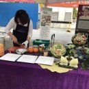 황실코아 이미지