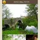 부엔까미노 이미지