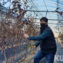 유리농원 이미지