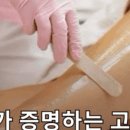 털업왁싱 평택비전점