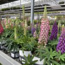 대림가든 이미지