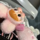 로그인 | 12시간 미만 체류 자카르타 로그인 후기…