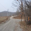 왕순례묘 이미지